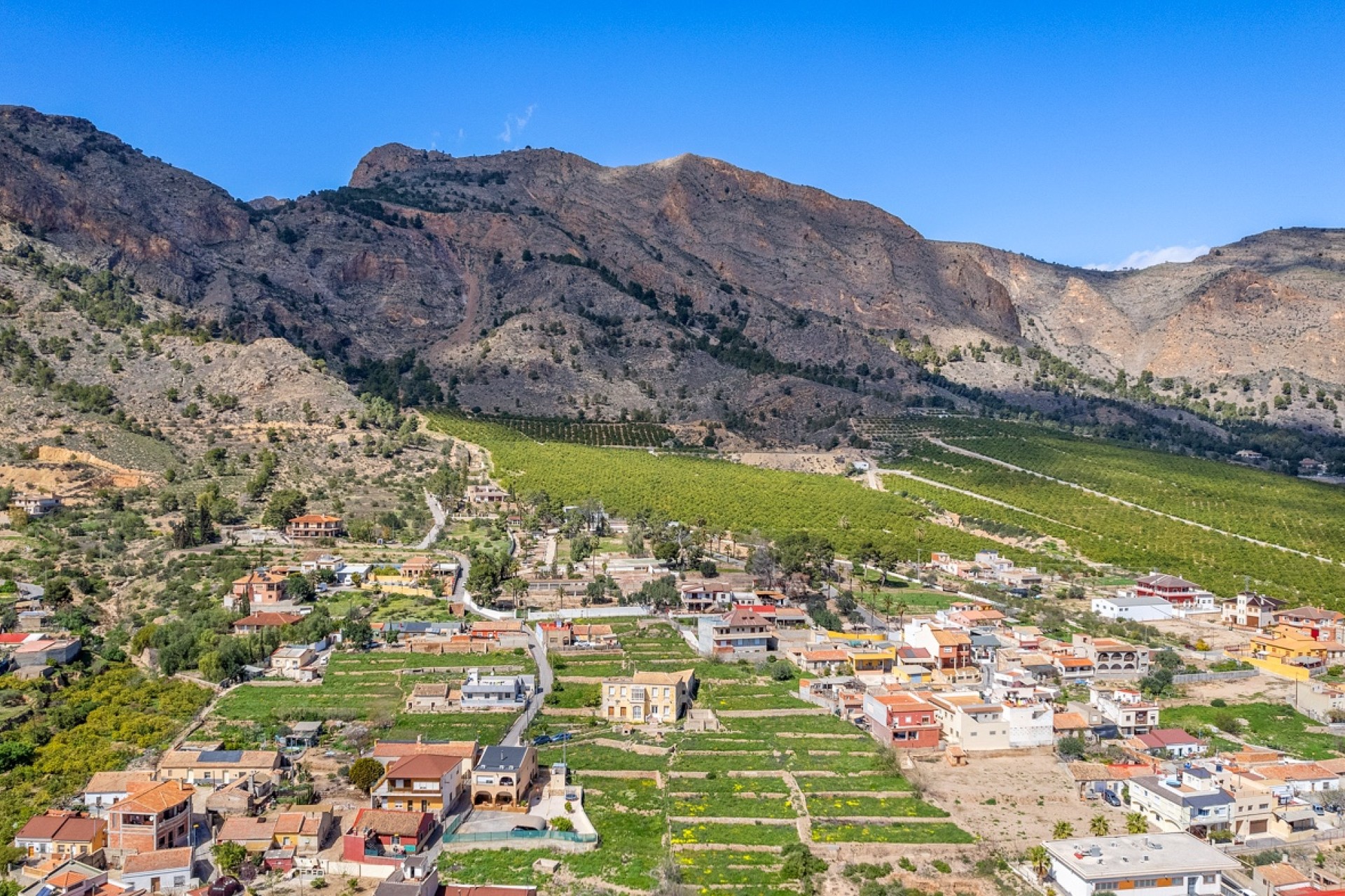 Verkoop - Landgoed - Orihuela