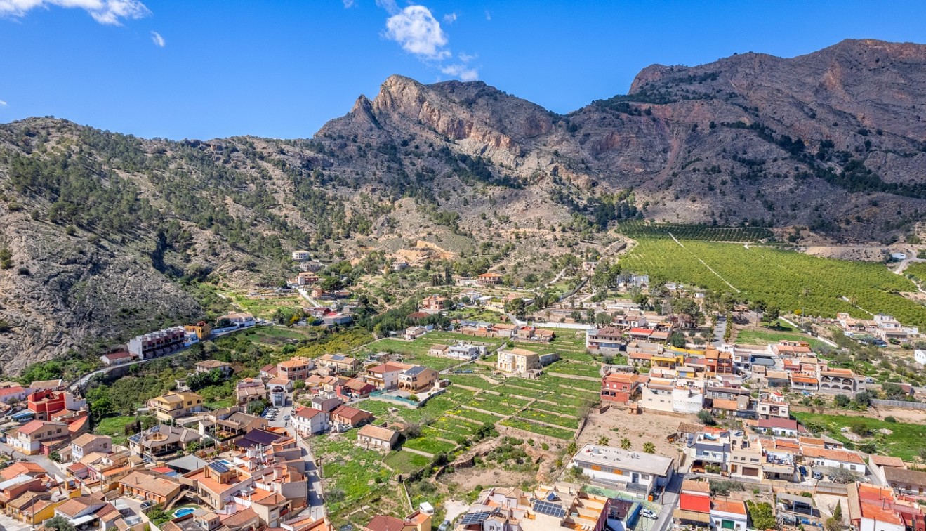 Verkoop - Landgoed - Orihuela