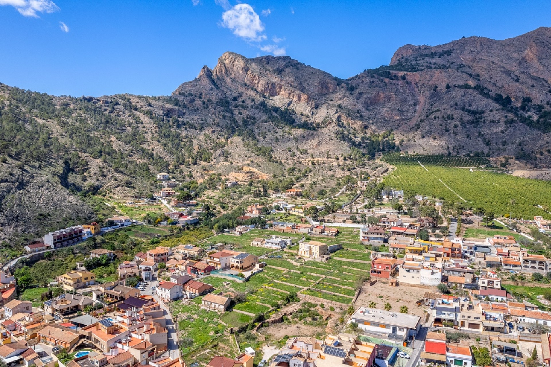 Verkoop - Landgoed - Orihuela