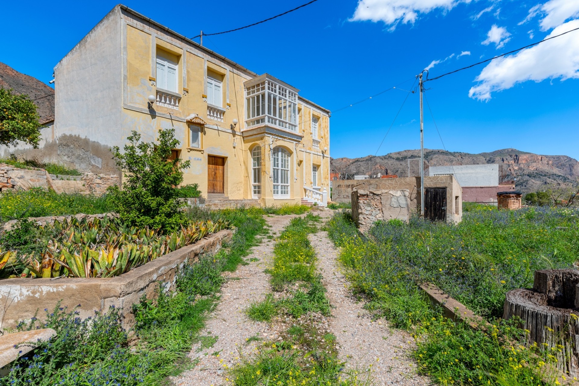 Verkoop - Landgoed - Orihuela