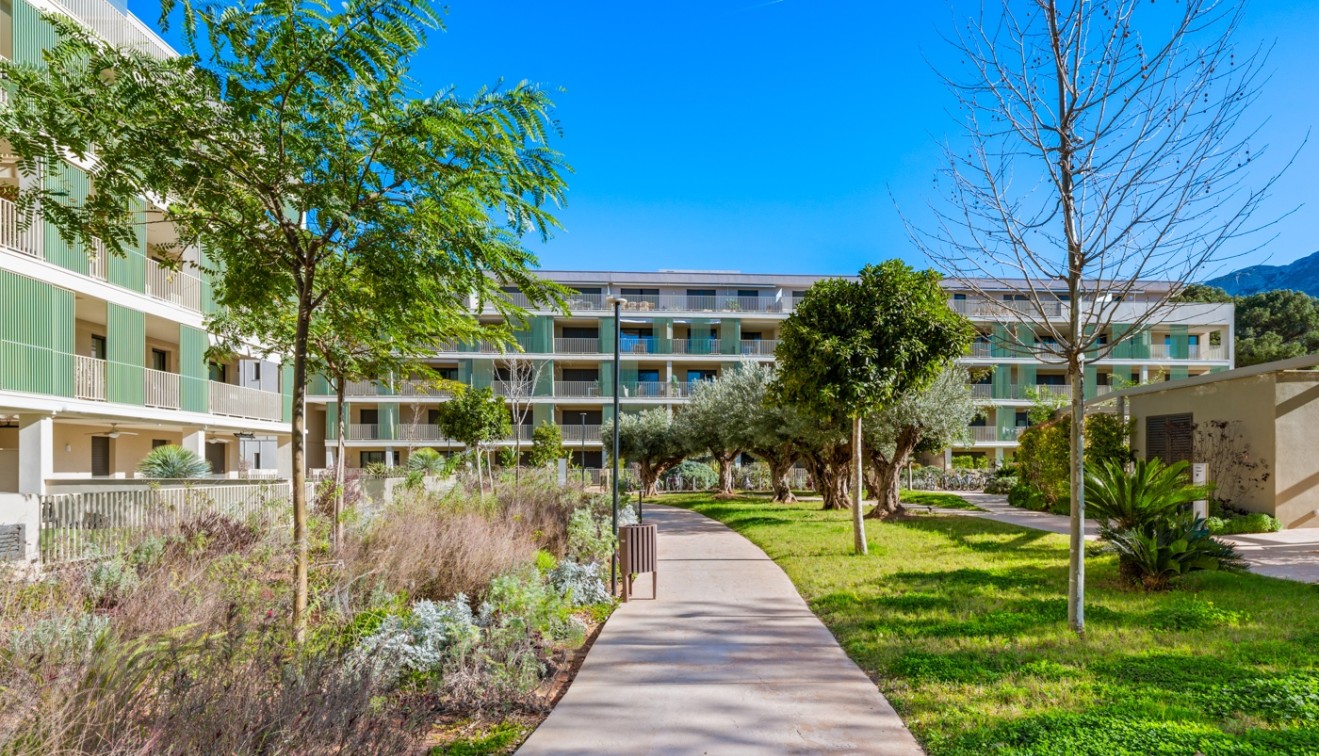 Verkoop - Penthouse - Denia - Puerto