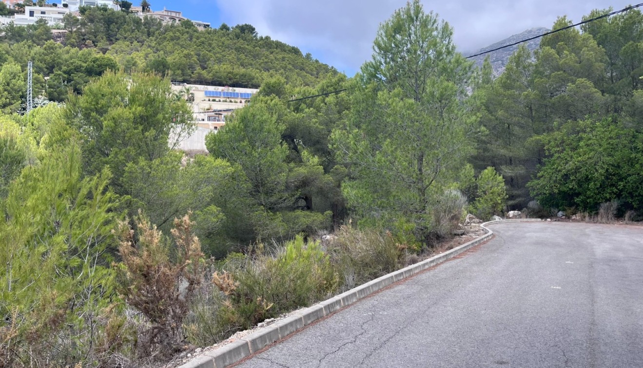 Verkoop - Perceel - Altea - Sierra de Altea