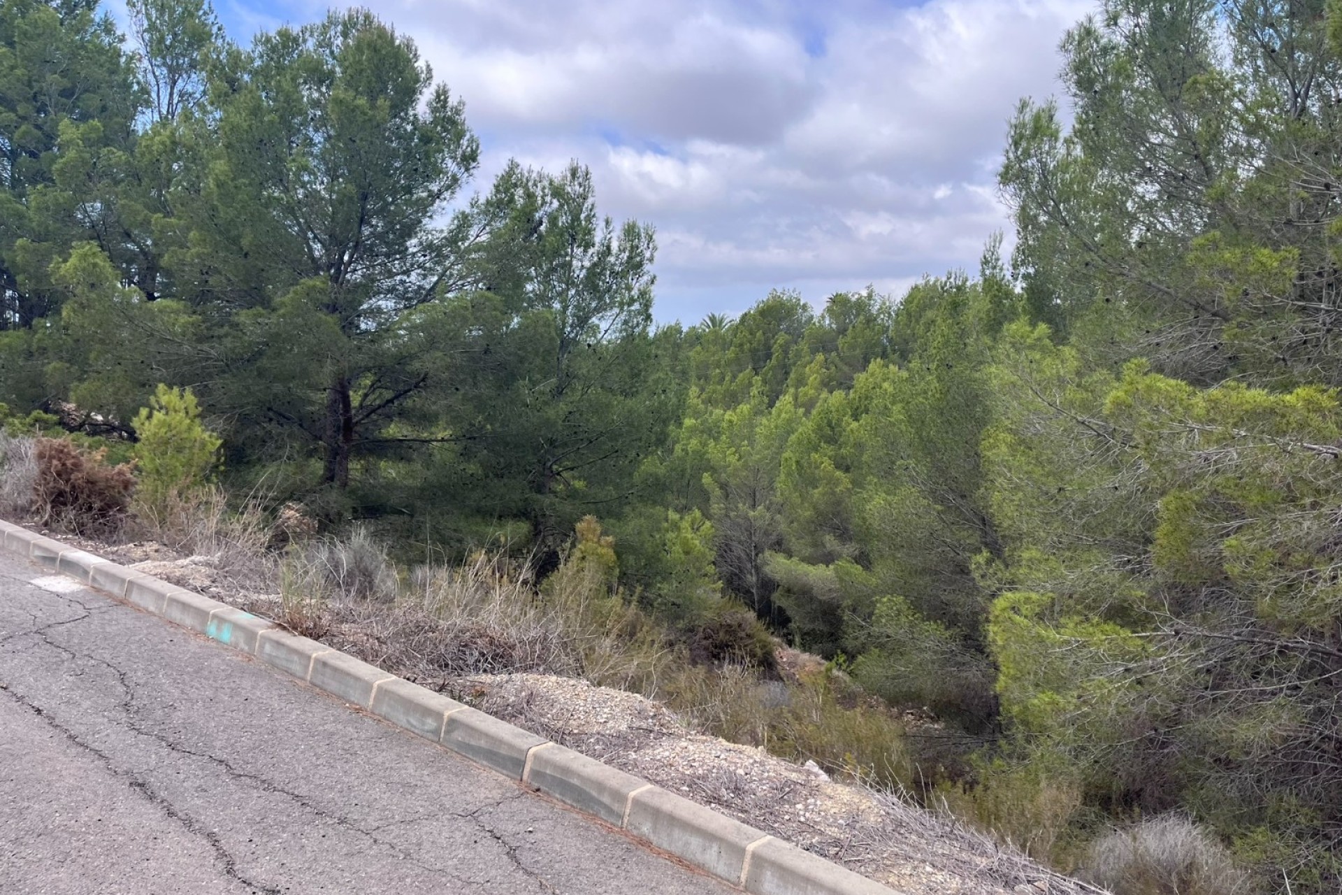 Verkoop - Perceel - Altea - Sierra de Altea