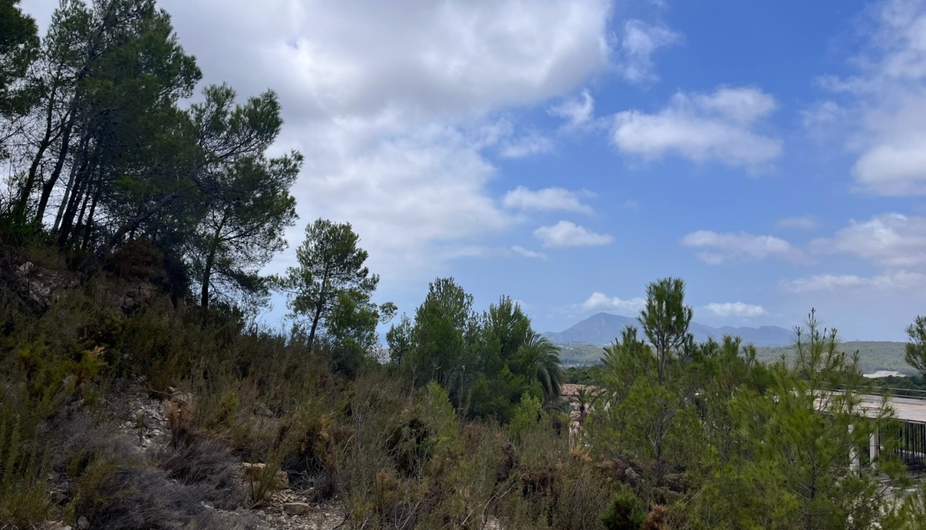 Verkoop - Perceel - Altea - Sierra de Altea