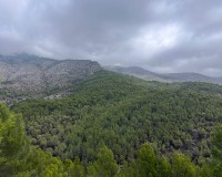 Verkoop - Perceel - Altea - Sierra de Altea