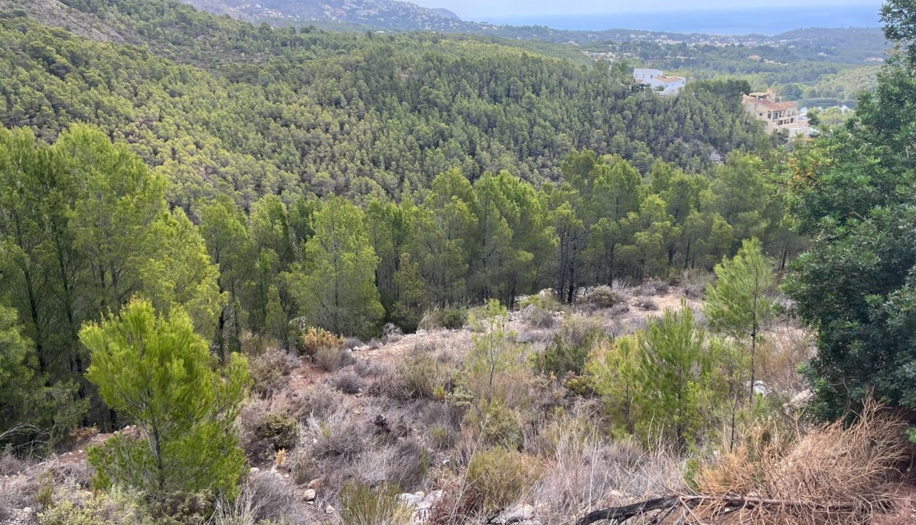 Verkoop - Perceel - Altea - Sierra de Altea