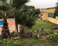 Verkoop - Villa - Elche/Elx