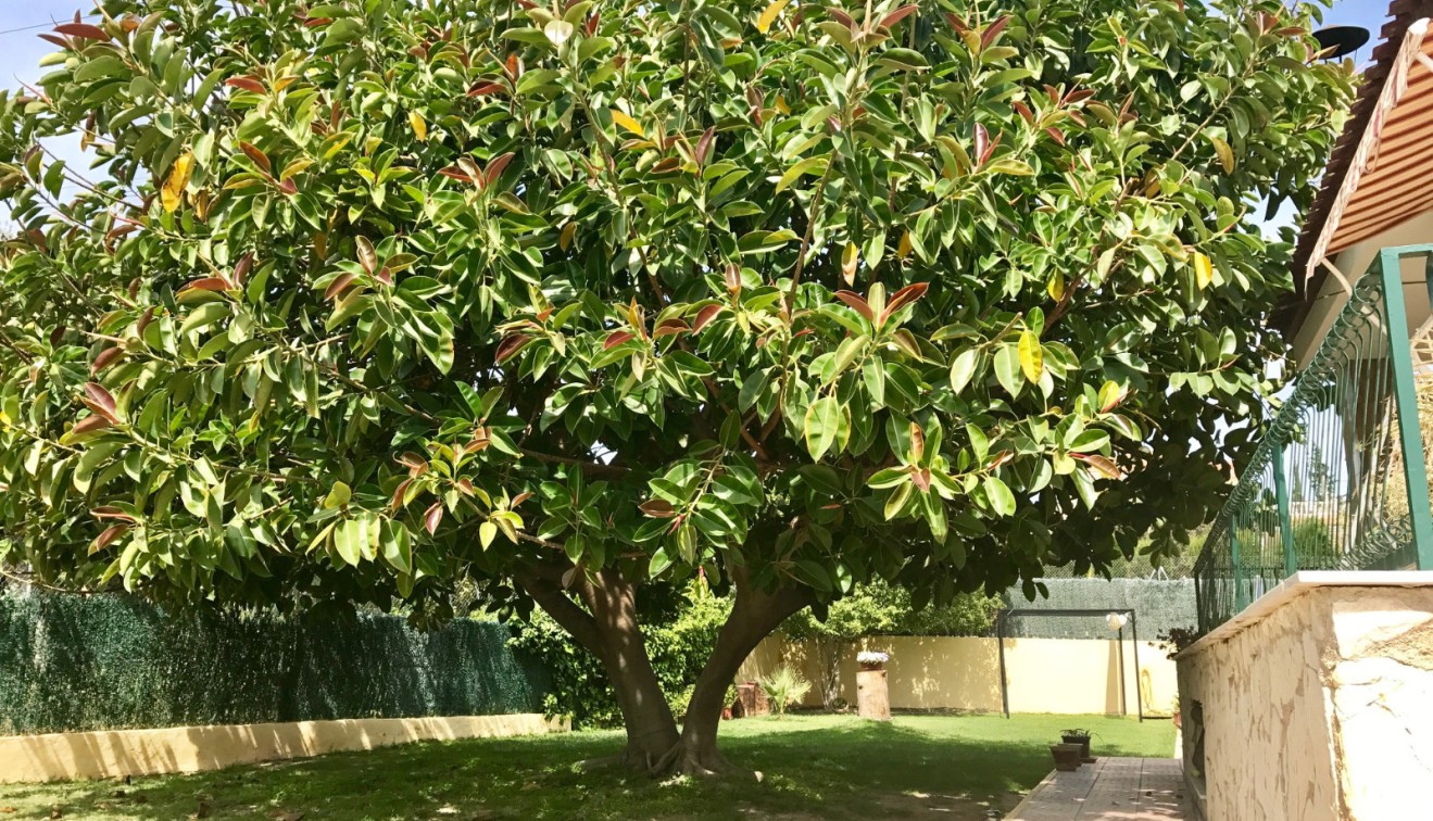 Verkoop - Villa - Elche/Elx