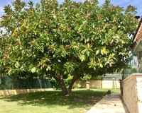 Verkoop - Villa - Elche/Elx