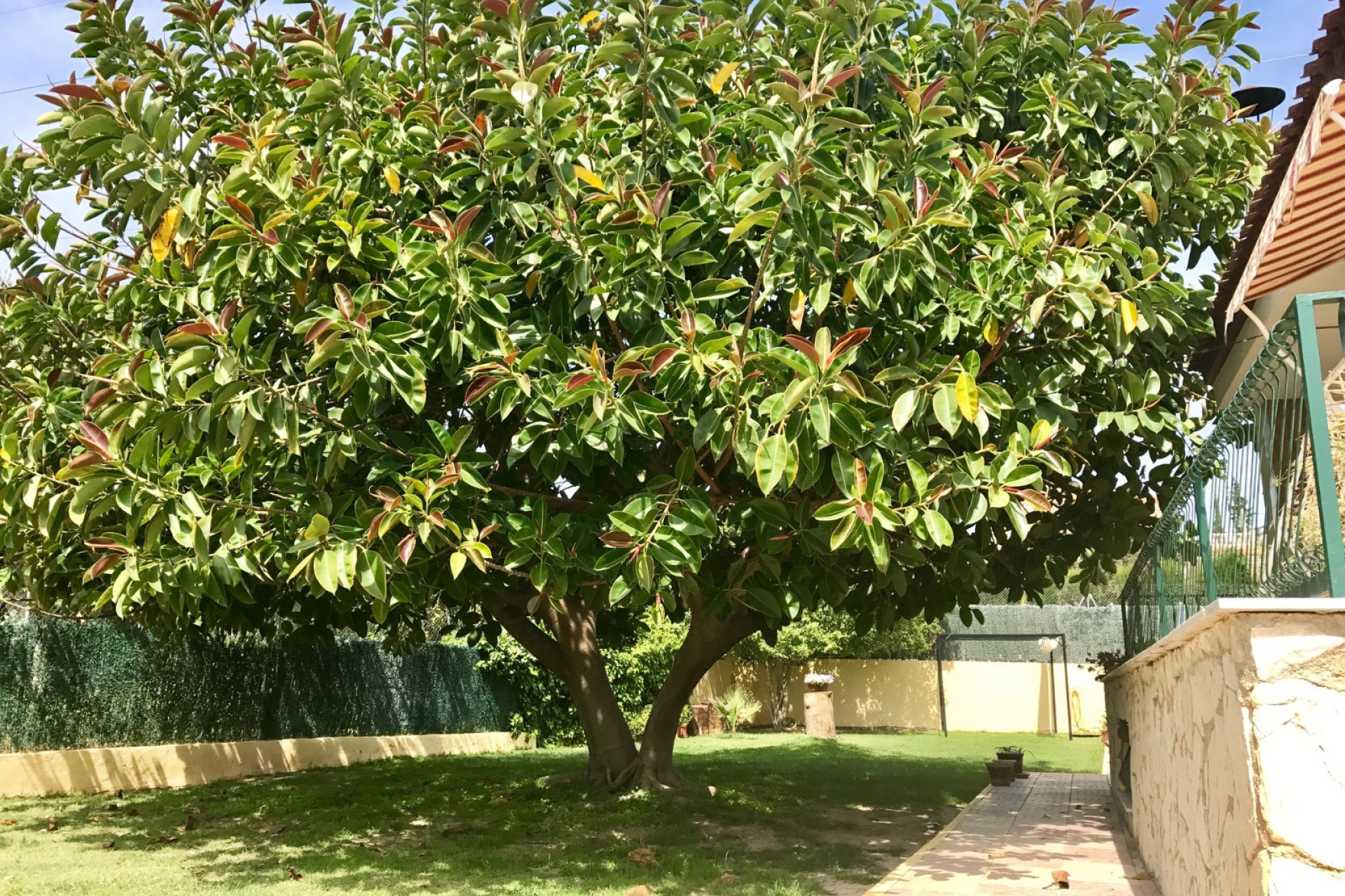 Verkoop - Villa - Elche/Elx