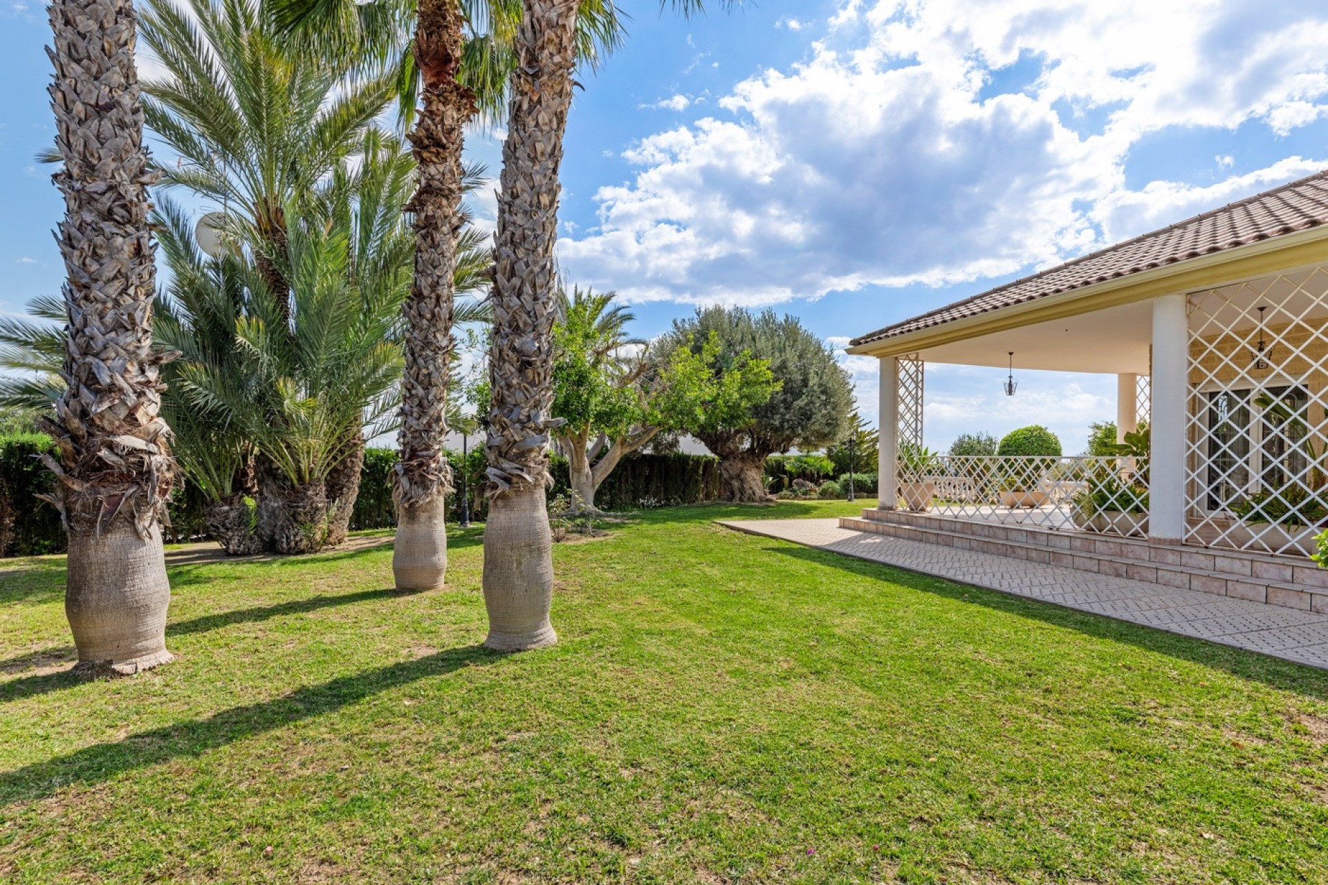 Verkoop - Villa - Elche/Elx