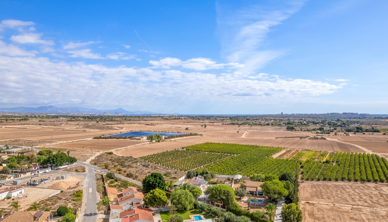 Verkoop - Villa - Elche/Elx