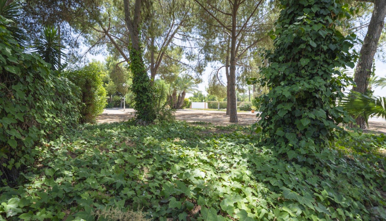 Verkoop - Villa - Elche/Elx