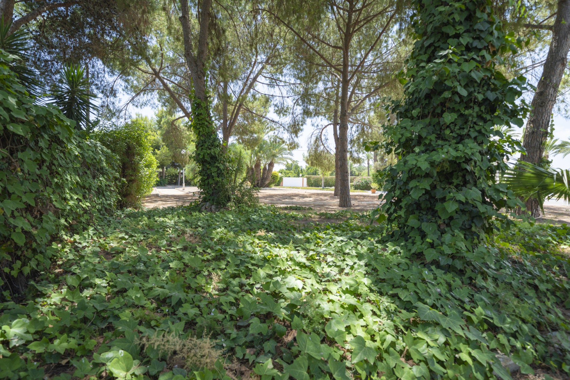 Verkoop - Villa - Elche/Elx