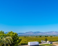 Verkoop - Villa - San Isidro