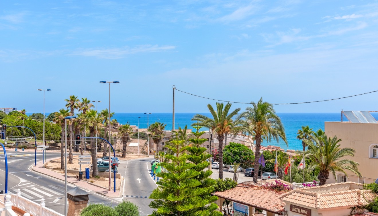 Wynajem - Willa - Torrevieja