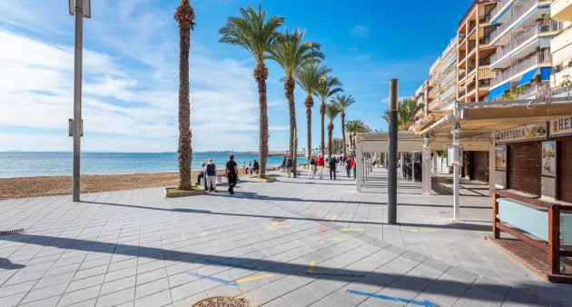 Venta - Piso - Torrevieja - Playa de los locos