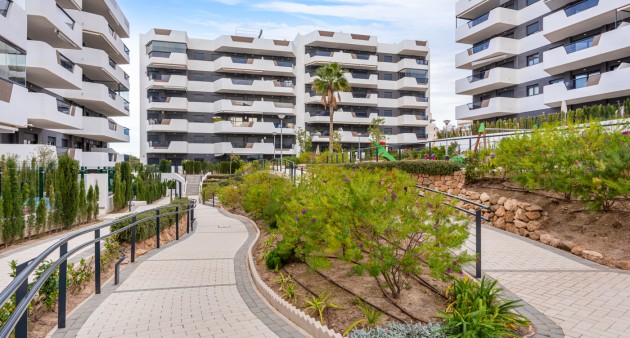 Venta - Piso - Arenales del Sol