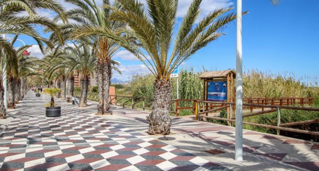 Venta - Piso - Arenales del Sol