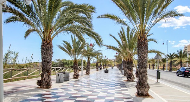 Venta - Piso - Arenales del Sol