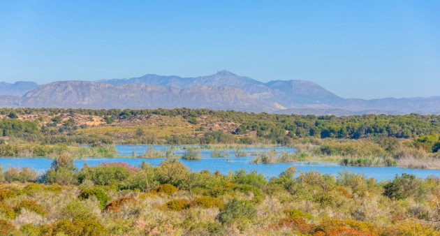 Venta - Piso - Gran Alacant  - Gran Alacant