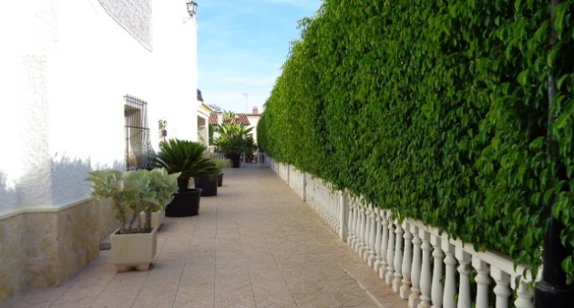 Vente - Villa - Elche/Elx