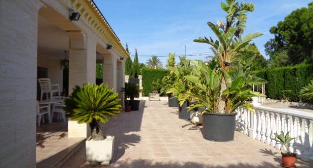 Vente - Villa - Elche/Elx