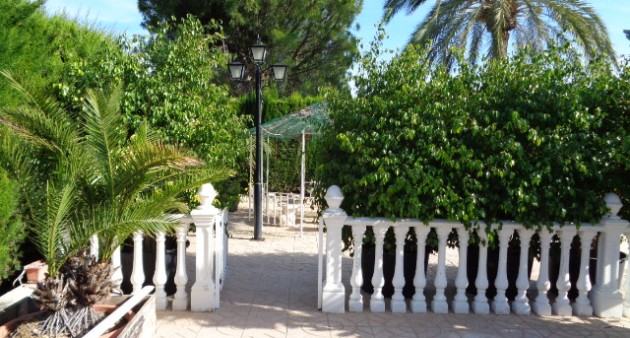 Vente - Villa - Elche/Elx