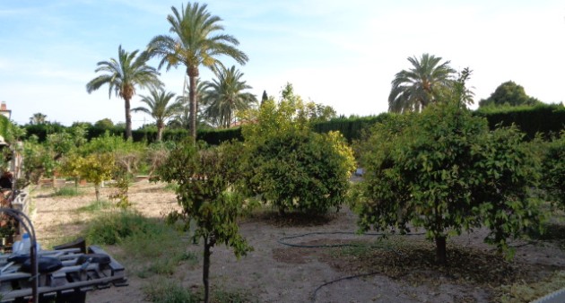 Vente - Villa - Elche/Elx