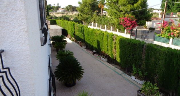 Vente - Villa - Elche/Elx