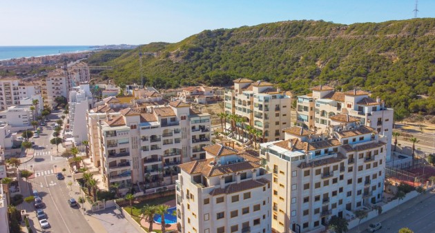 Vente - Apartment - Guardamar del Segura