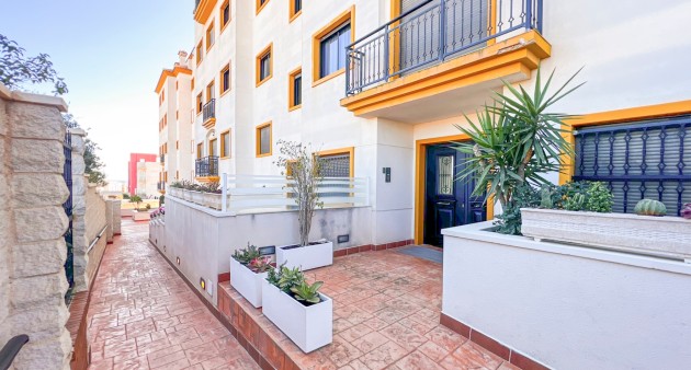 Vente - Apartment - Guardamar del Segura