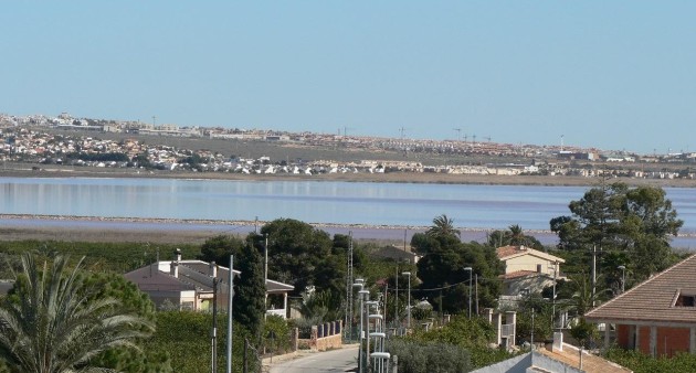 Nowo zbudowane - Willa - Los Montesinos - La herrada