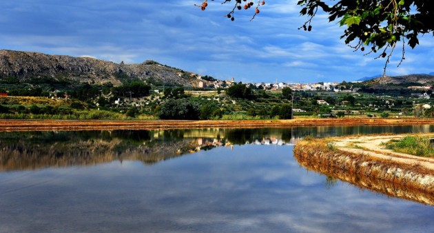 Nueva construcción  - Chalet - Calasparra - Coto riñales