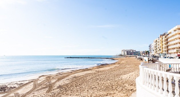 Nueva construcción  - Chalet - Torrevieja - Lago Jardín II