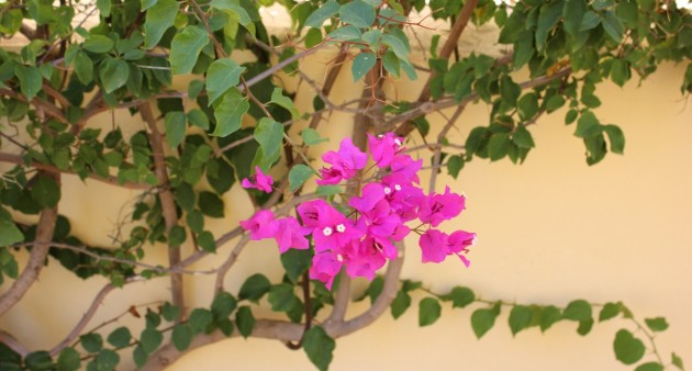 Sale - Townhouse - Ciudad Quesada - Rojales
