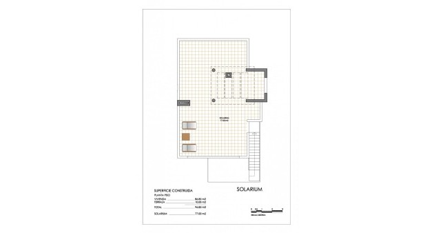 Nueva construcción  - Bungalow - San Miguel - VistaBella Golf