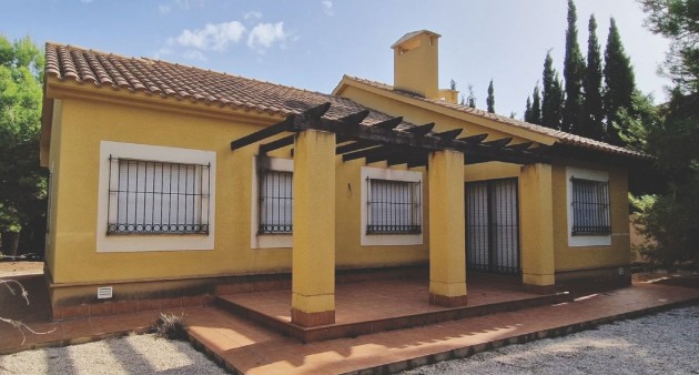 New Build - Villa - Fuente Álamo - Las Palas