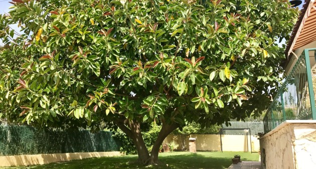 Verkoop - Villa - Elche/Elx