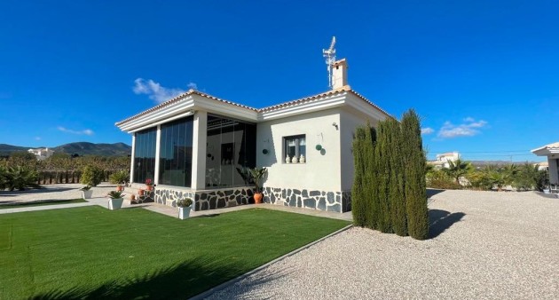 Nueva construcción  - Chalet - Pinoso - Camino Del Prado