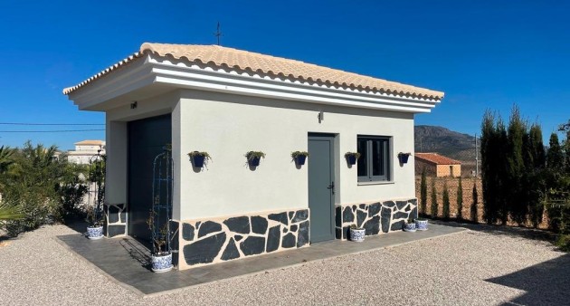 New Build - Villa - Pinoso - Camino Del Prado