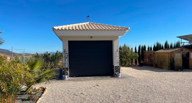 Nueva construcción  - Chalet - Pinoso - Camino Del Prado