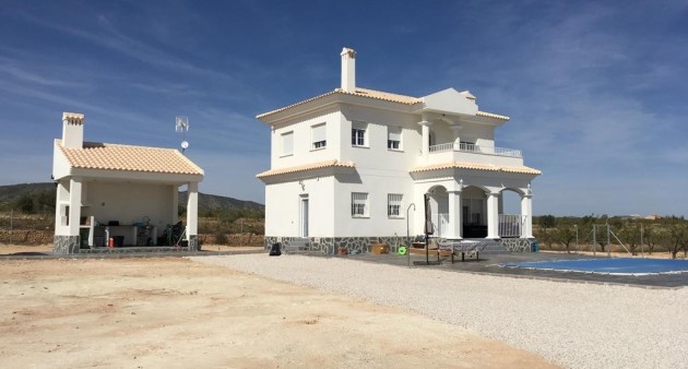 Nueva construcción  - Chalet - Pinoso - Camino Del Prado