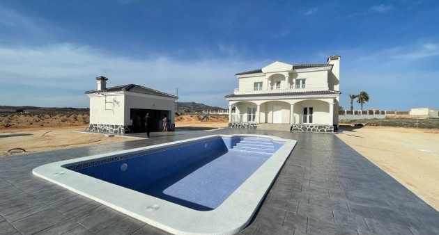 Nouvelle construction - Villa - Pinoso - Camino Del Prado