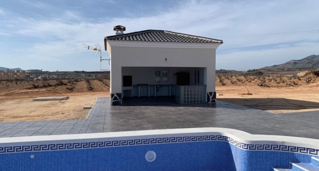 Nouvelle construction - Villa - Pinoso - Camino Del Prado