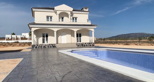 New Build - Villa - Pinoso - Camino Del Prado