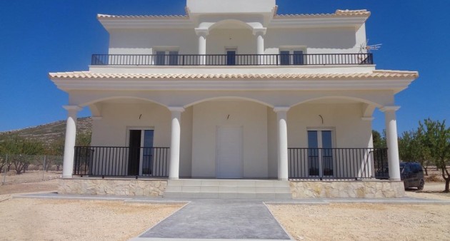 Nouvelle construction - Villa - Pinoso - Camino Del Prado