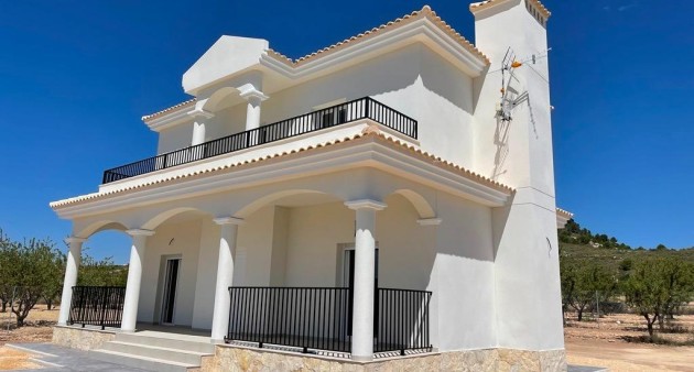 New Build - Villa - Pinoso - Camino Del Prado