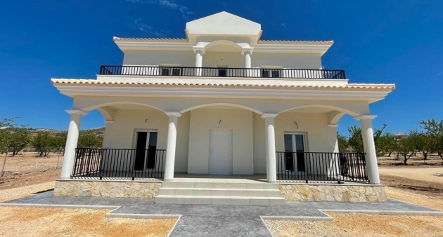 New Build - Villa - Pinoso - Camino Del Prado