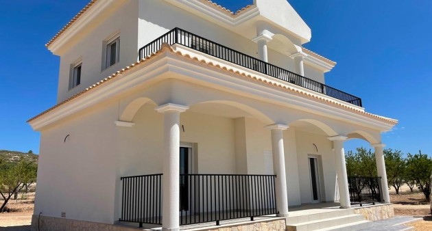 Nouvelle construction - Villa - Pinoso - Camino Del Prado